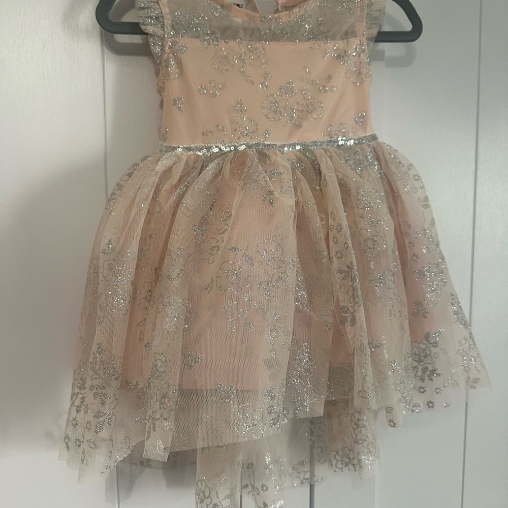 Blueberi Boulevard Peach and Silver Floral Dress